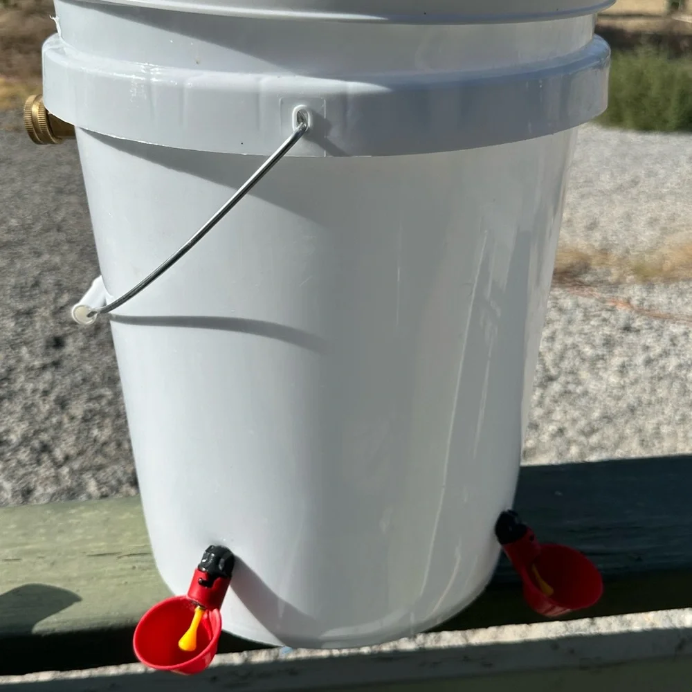 Automatic water, feeder, automatic food feeder